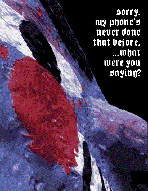 An extreme, skewed close up of Dwingo saying 'Sorry, my phone's never done that... what were you saying?'