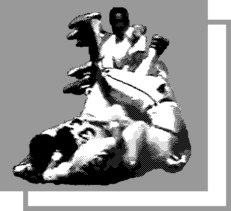 distorted image of a few baseball players in an inpercievable pile